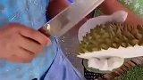 很多人都感到疑惑，泰国人为啥这样开榴莲，不是多此一举吗