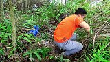 农村小伙30岁还没结婚，独自隐居山顶，过着安逸的生活