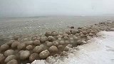 旅游-密歇根湖 巨型冰蛋源源靠岸-20140221