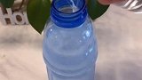 水箱里放个这个可以起到意想不到的作用哦，不信你试试