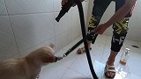 还好奔奔不是真的下死口
