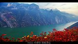 三峡的水流如此大，里面的鱼是如何生存的呢！说出来不敢相信