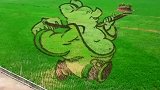 这稻田画设计师也太厉害了，绝对没有第二个人可以做到