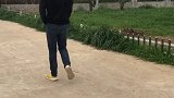 竟然骗狗