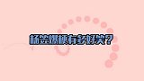 脱口秀一姐杨笠王者归来，霸气回应热搜，罗永浩瞬间爆灯燃爆全场