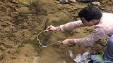 农村小伙真厉害，拿着树藤就能把大鱼套上岸，真是高手