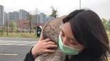 猫咪：骑着我的铲屎官，去看看我的江山