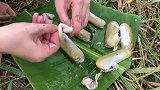钓鱼：钓竿终于断了