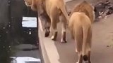 今天这件事谁都没看见，回答我