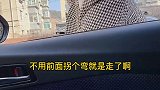 浪姐哪天不挣的百八的  像这种小破车根本看不上………