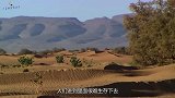 如果撒哈拉沙漠，持续降雨一个月，会发生什么？看完大开眼界