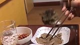 狸花猫：没吃到好东西，还给扒拉了一下