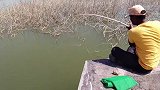 这个地方鱼真多，大哥连抛几竿，大鱼竿竿上钩，太爽了