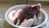 鸡肉这样做，我家一个星期吃3次，闻香味美，上桌就扫光，太香了