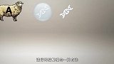 为什么现在很少提“克隆”了？看看“多莉”一生，众人哑口无言