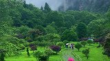 四季常青的地方
