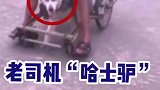 那条鱼如果我没有猜错的话，应该是传说中的六眼飞鱼