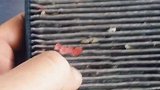 开空调有异味要及时更换