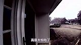 一道“惊雷”击中汽车,瞬间火光四射,几十只山羊当场被“放倒”