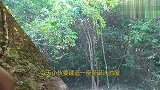 牛人打造“圣诞树屋”，还自带泳池滑梯，看完惊艳到我了！