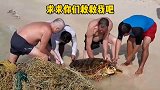 一只海龟拖着几十斤重的渔网游向岸边，寻求人类能救救它！