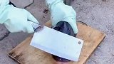 这鱼肯定练了铁头功