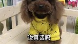 咋就不夸我呢