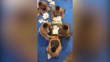 日本相扑选手是怎么签名的？看完还有人想要吗？