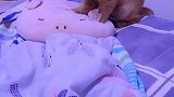 猫：我得多学学按摩手法，把主人给伺候好了！