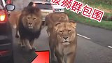 这气势太吓人了，坐车里都不安全