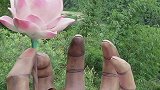 紧紧握着青花信物，信守着承诺，离别总在失意中度过