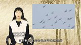 她用半生来骂鲁迅，却不愿为丈夫煮一碗汤，最后一个人孤独终老