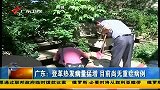 广东早晨-20130928-广东登革热发病量猛增 目前尚无重症病例