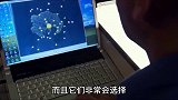 这样的宠物你敢养一个么？你觉得它像什么？ 科普  涨知识  神奇动物在  实验