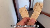 喂流浪猫第4天，居然又多了一只，还就只有一只眼睛，太可怜了！