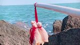 小伙用鸡腿钓螃蟹，短短几分钟就收获半桶