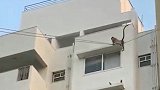 印度：猴子使用电线当绳索，穿梭在建筑物之间