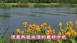 人生活豁达，不为烦恼伤。#寻美河北#
