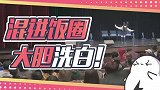 对话多名饭圈人士，深挖过后大胆洗白
