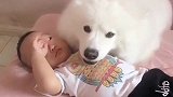 知道小主人累了，狗狗就这样哄孩子睡觉，眼前的一幕太有爱了