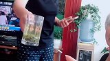 老妈跟外婆给我倒水！