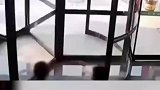 两熊孩子在旋转门玩耍，其中一人不慎被夹