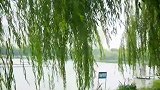 风把旋律吹乱了，心又随风飞走了。