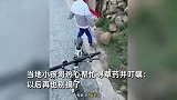 七步内必有解药！男子旅游误碰霍麻手被疼坏，小孩哥热心寻草药