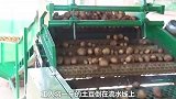 探访土豆加工厂，土豆是如何加工成鲜土豆淀粉的，真的是原汁原味