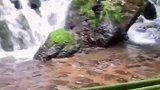 日本有名的流水面，来日本一定要吃，在日本很名的！