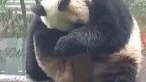 最后知道真相的我眼泪掉下来…