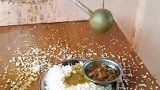 嫌弃国内隔离饭菜不好吃扔掉的，来看一下印度的隔离伙食！
