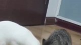 你一口我一口