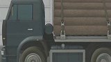 托宝兄弟：车神居然还会跆拳道，凌空踢碎木头救出一车乘客